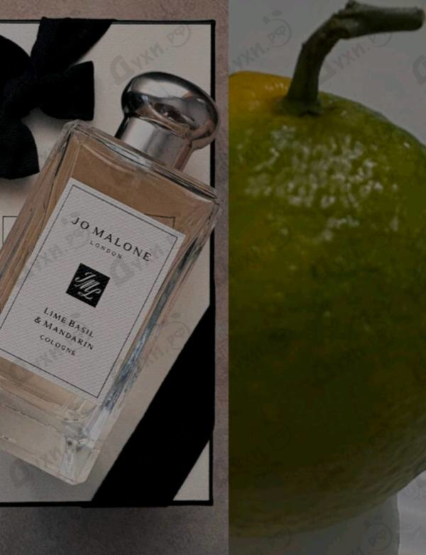 Парфюмерия Lime Basil & Mandarin от Jo Malone