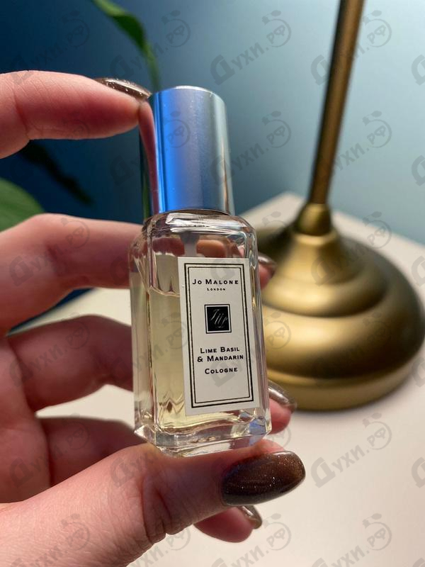 Купить Lime Basil & Mandarine от Jo Malone