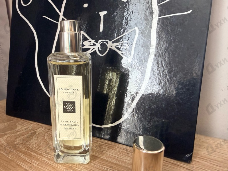 Парфюмерия Lime Basil & Mandarin от Jo Malone
