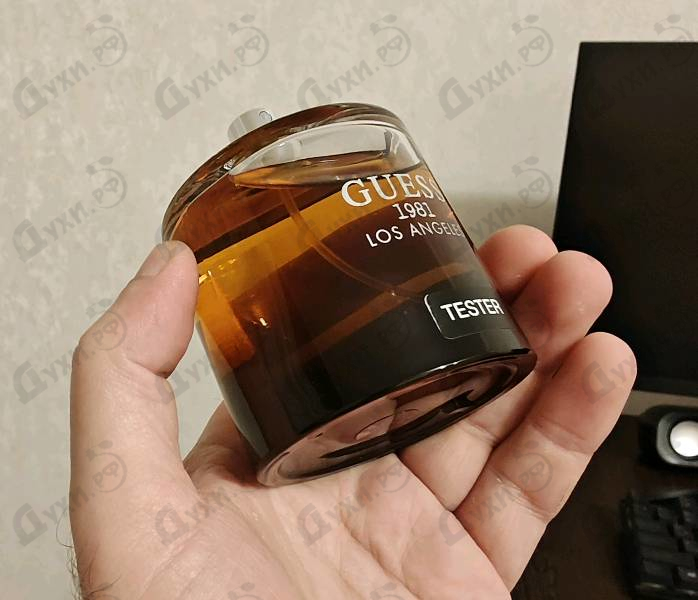 Купить Guess 1981 Los Angeles от Guess