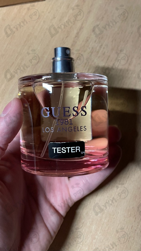 Купить Guess 1981 Los Angeles от Guess