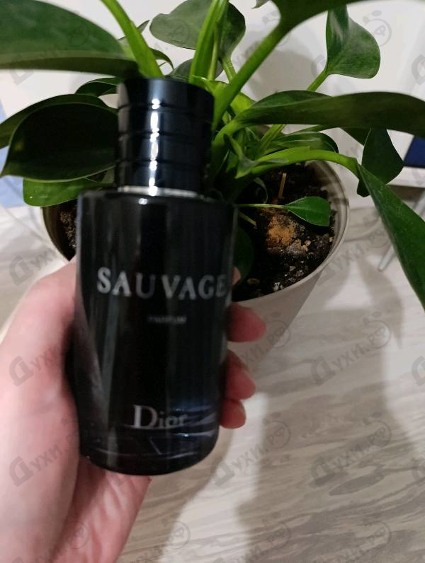 Парфюмерия Sauvage Parfum от Christian Dior