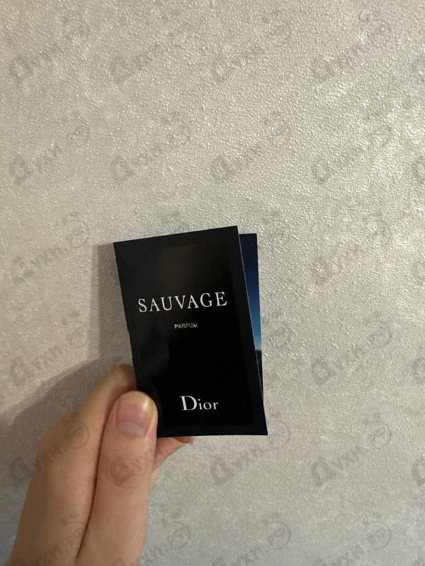 Отзывы Christian Dior Sauvage Parfum