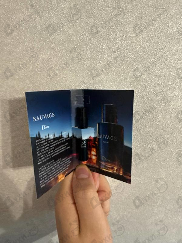 Купить Sauvage Parfum от Christian Dior