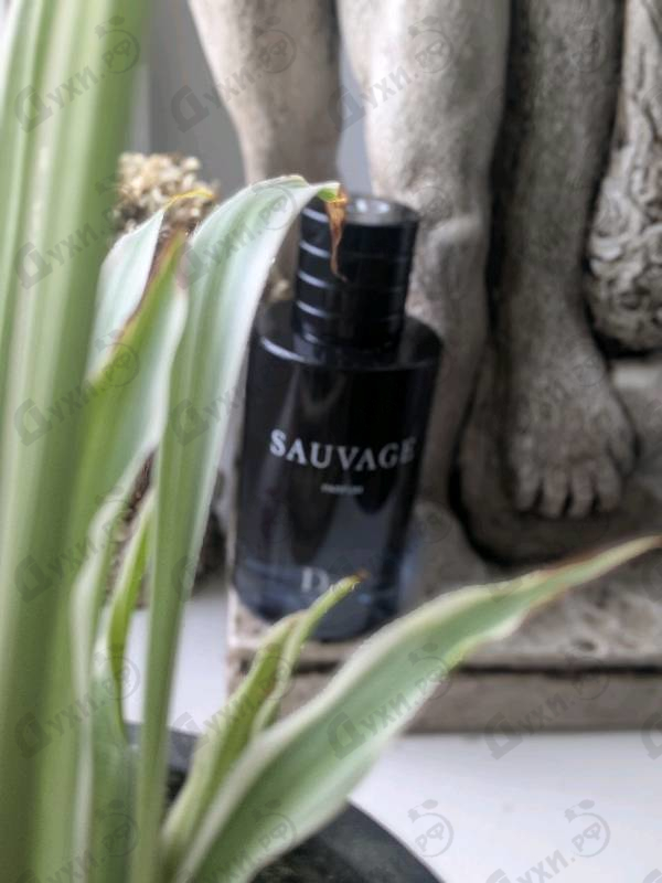 Купить Sauvage Parfum от Christian Dior