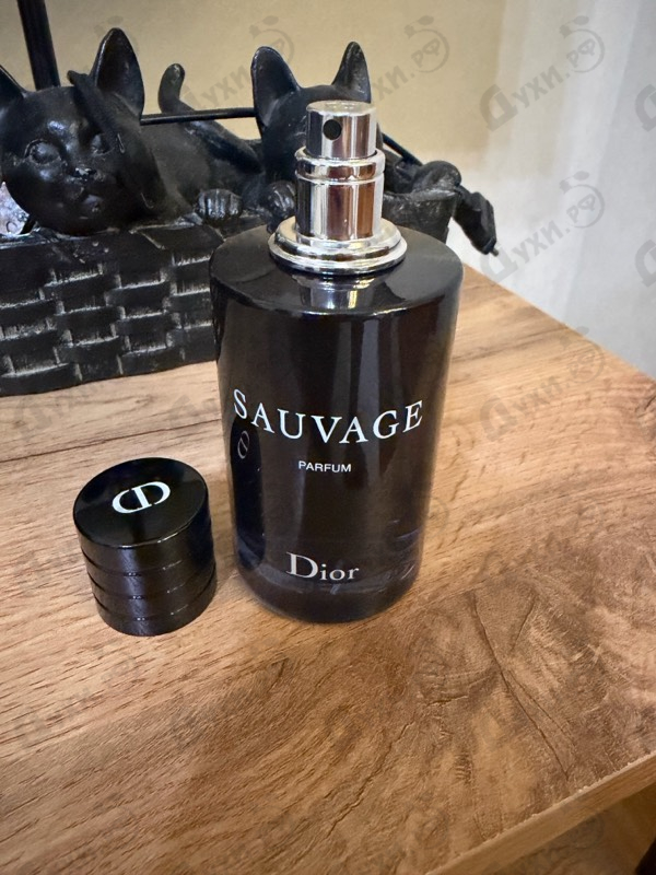 Духи Sauvage Parfum от Christian Dior