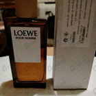 Отзывы Loewe Pour Homme
