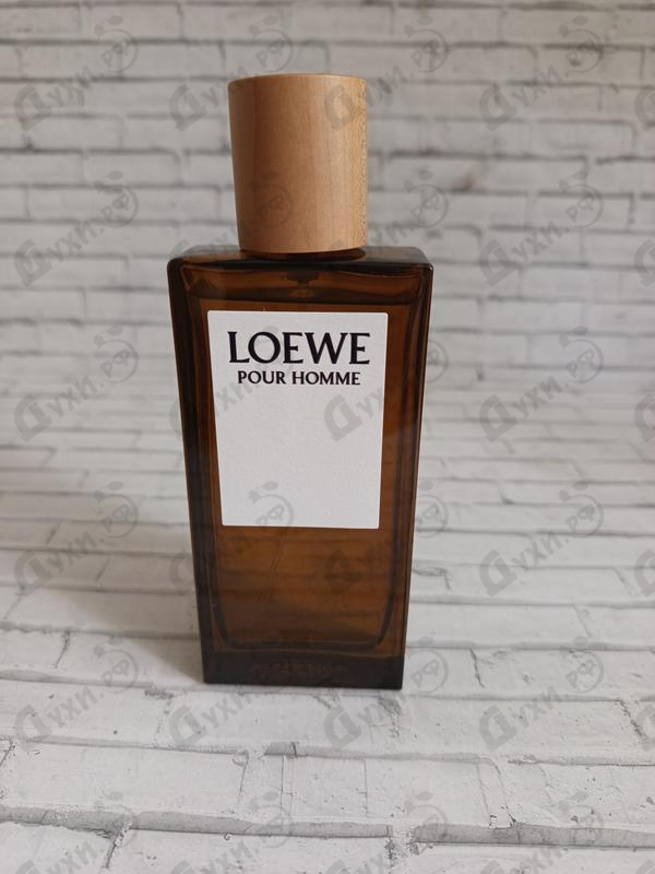 Отзыв Loewe Pour Homme