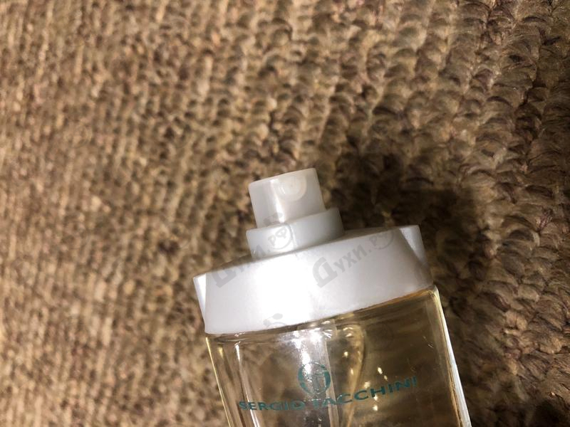 Купить Sergio Tacchini Ozone  Green Wave