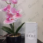 Отзыв Lancome Idole