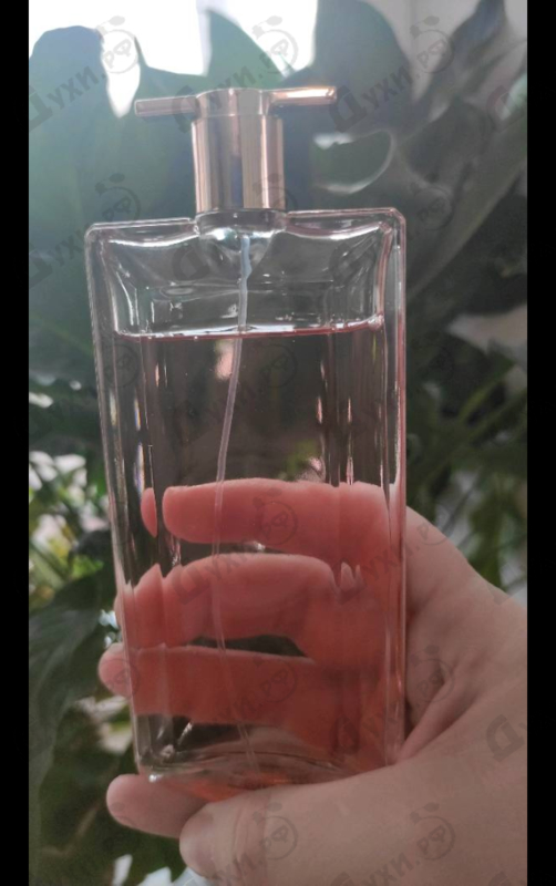 Купить Idole от Lancome