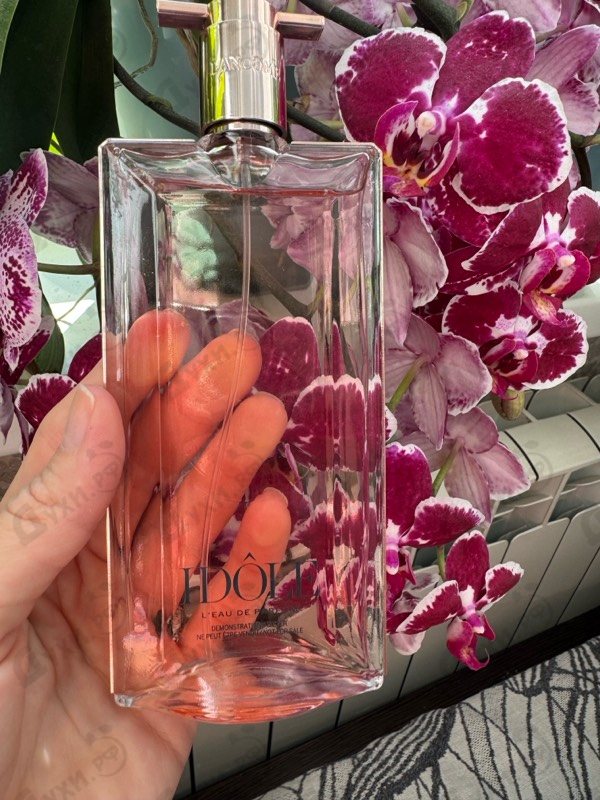 Купить Idole от Lancome