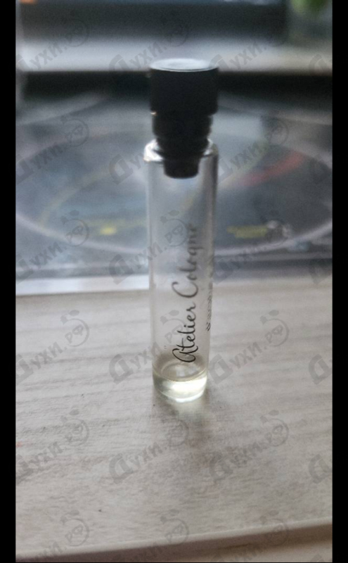 Духи Pacific Lime от Atelier Cologne