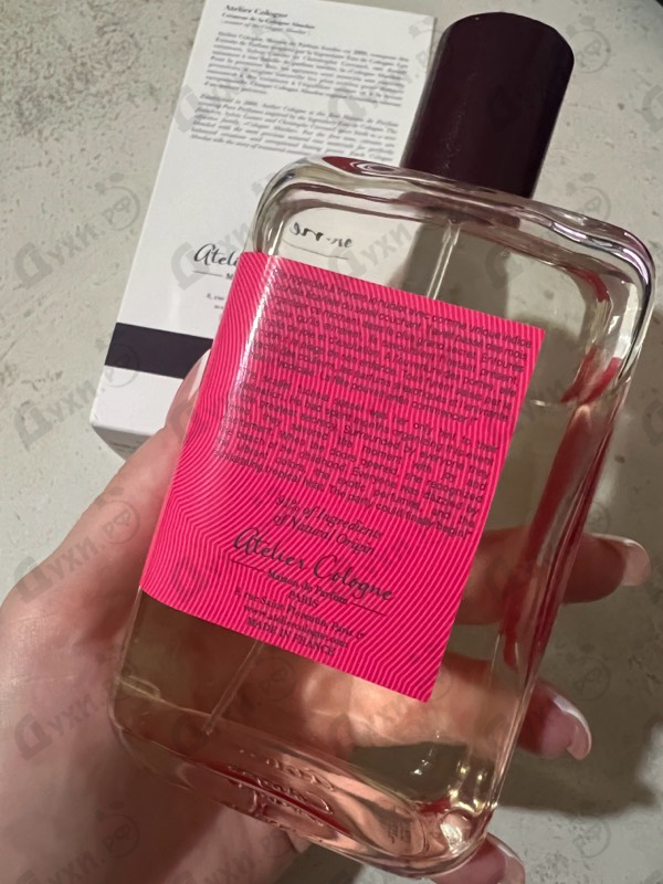 Купить Pacific Lime от Atelier Cologne