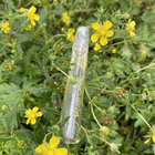 Духи Vanille Galante от Hermes