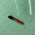 Духи Love Don't Be Shy от Kilian