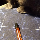 Парфюм Kilian Love Don't Be Shy