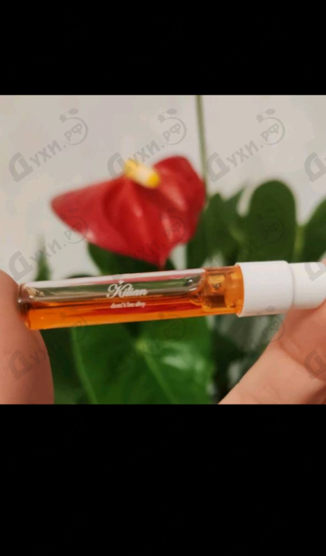 Парфюмерия Love Don't Be Shy от Kilian