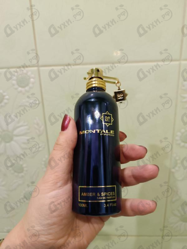 Купить Amber & Spices от Montale