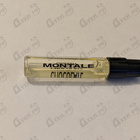 Отзывы Montale Chocolate Greedy