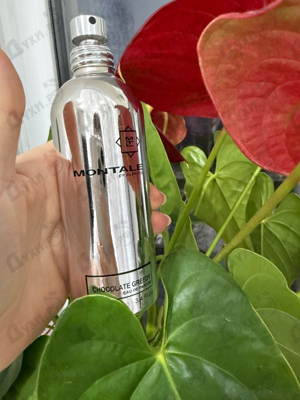 Духи Chocolate Greedy от Montale