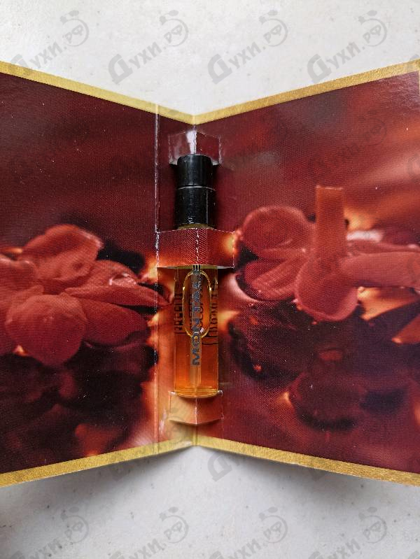 Купить Chocolate Greedy от Montale