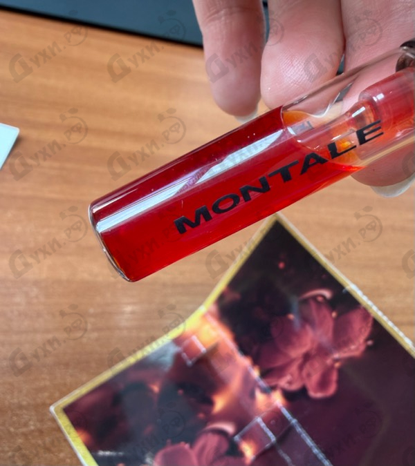 Купить Mukhallat от Montale