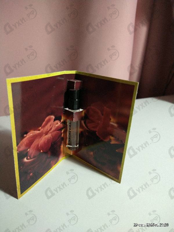 Отзывы Montale Pure Gold