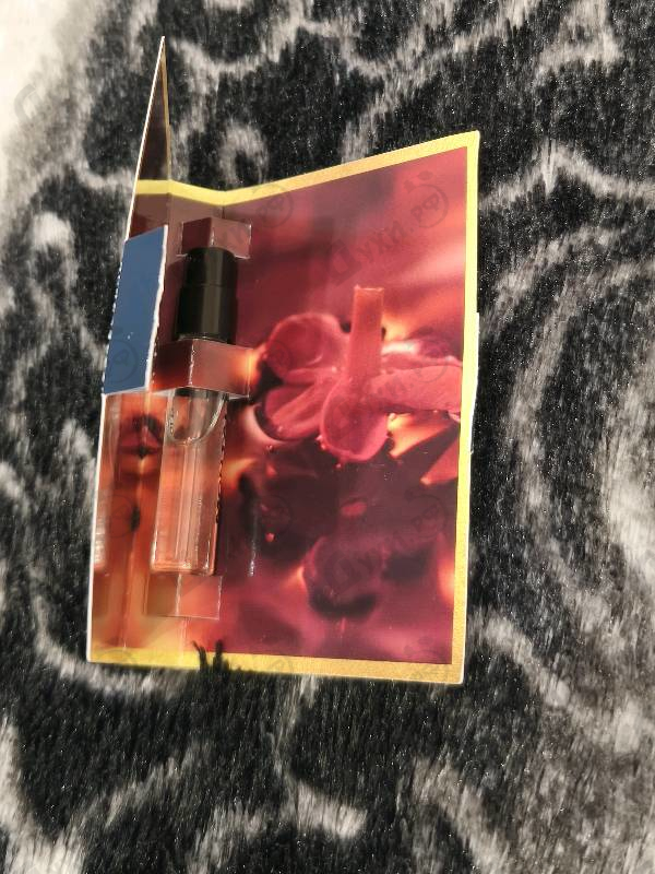 Купить Montale Pure Gold