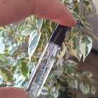 Отзыв Montale Roses Musk