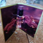 Духи Roses Musk от Montale