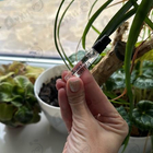 Парфюм Montale Roses Musk