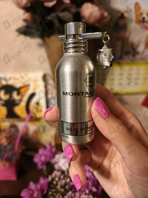 Купить Soleil De Capri от Montale