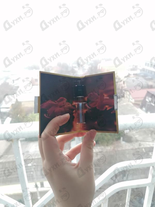 Парфюмерия Montale White Musk