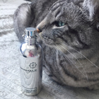 Отзыв Montale White Musk