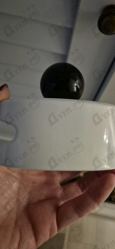 Отзыв Masaki Matsushima Shiro