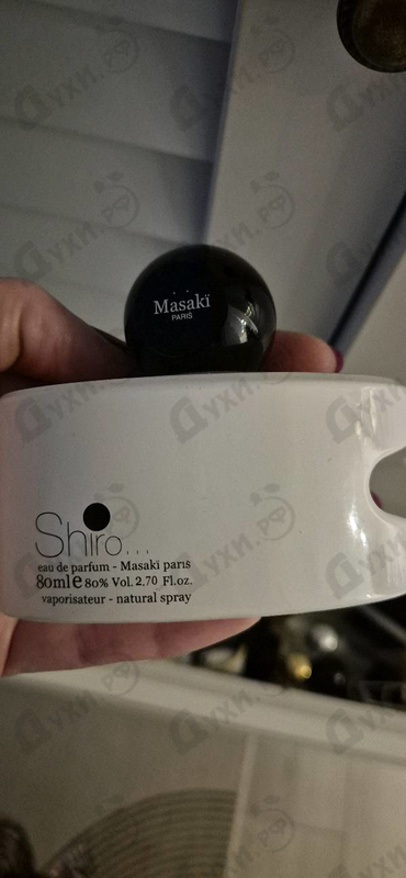 Купить Shiro от Masaki Matsushima