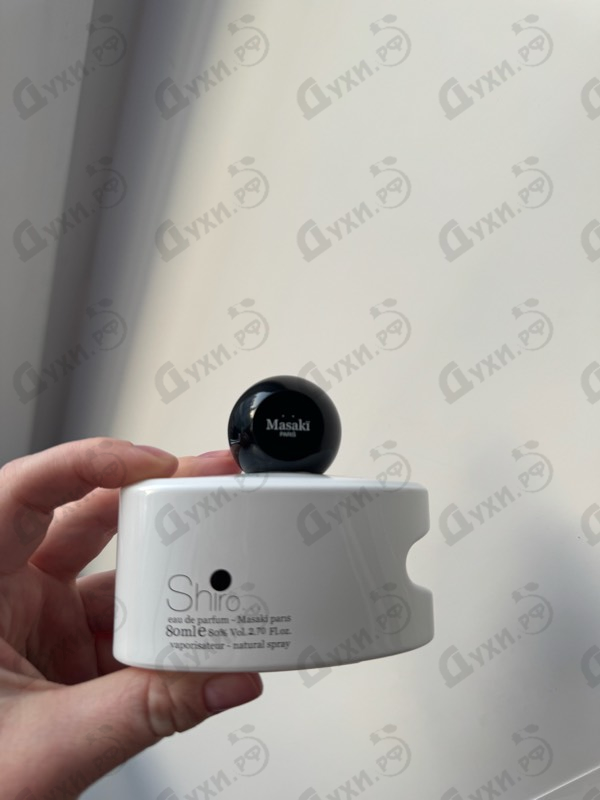 Купить Masaki Matsushima Shiro