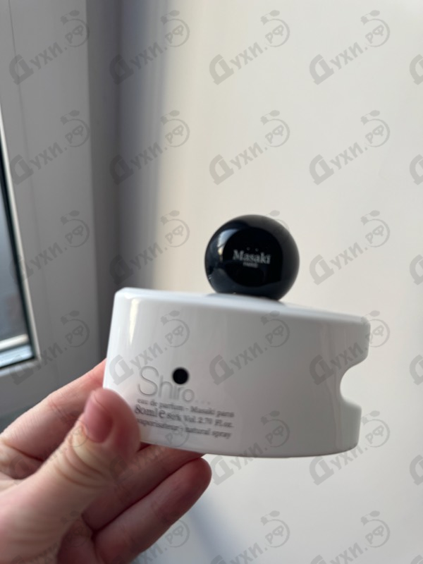 Купить Masaki Matsushima Shiro