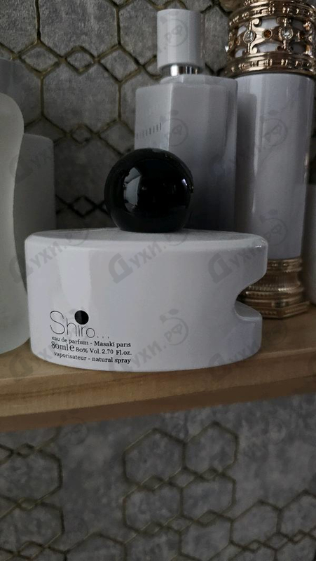 Купить Shiro от Masaki Matsushima