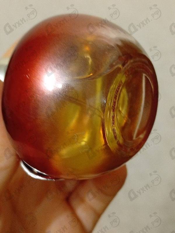 Парфюмерия Nina L'Elixir от Nina Ricci