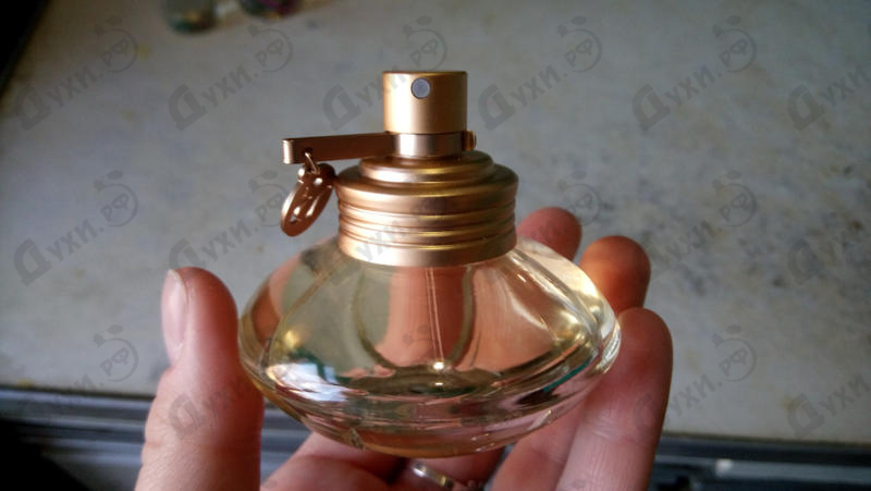 Парфюмерия S By Shakira от Shakira Отзыв Shakira S By Shakira