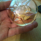 Духи S By Shakira от Shakira