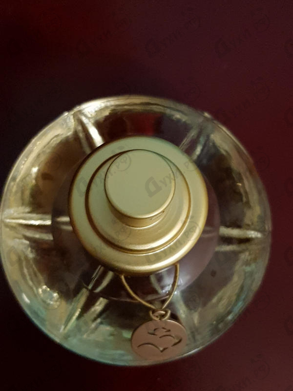 Парфюмерия S By Shakira от Shakira Отзывы Shakira S By Shakira