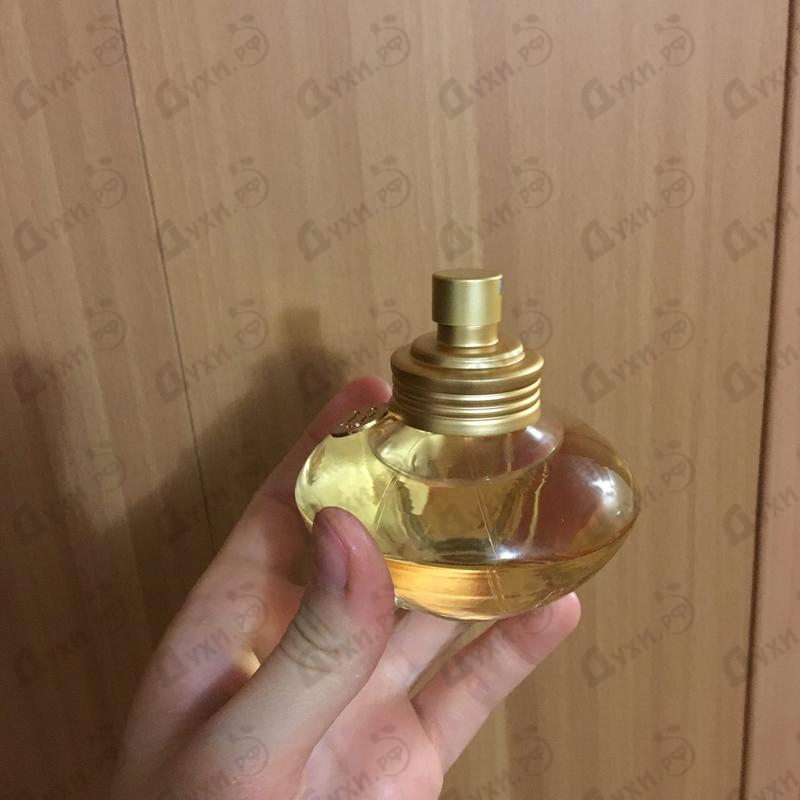 Купить Shakira S By Shakira Купить S By Shakira от Shakira