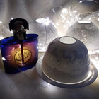 Отзывы Yves Saint Laurent Belle D'opium