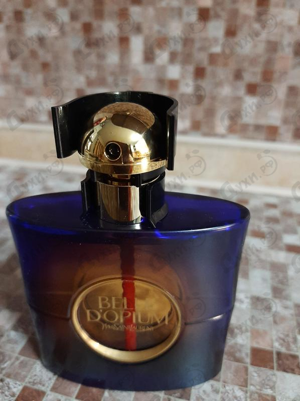 Купить Belle D'opium от Yves Saint Laurent