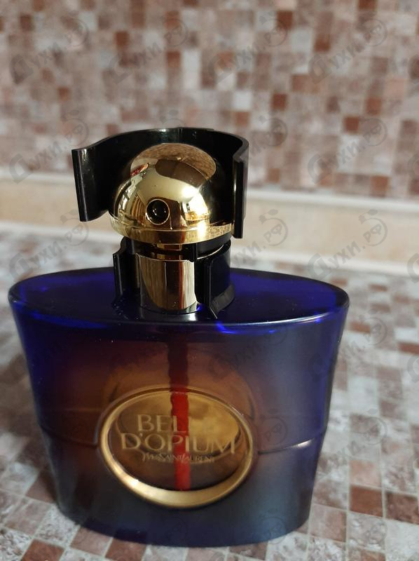 Купить Belle D'opium от Yves Saint Laurent