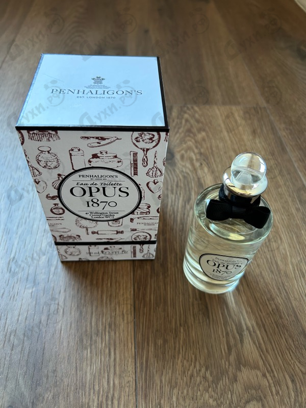 Отзыв Penhaligon's Opus 1870