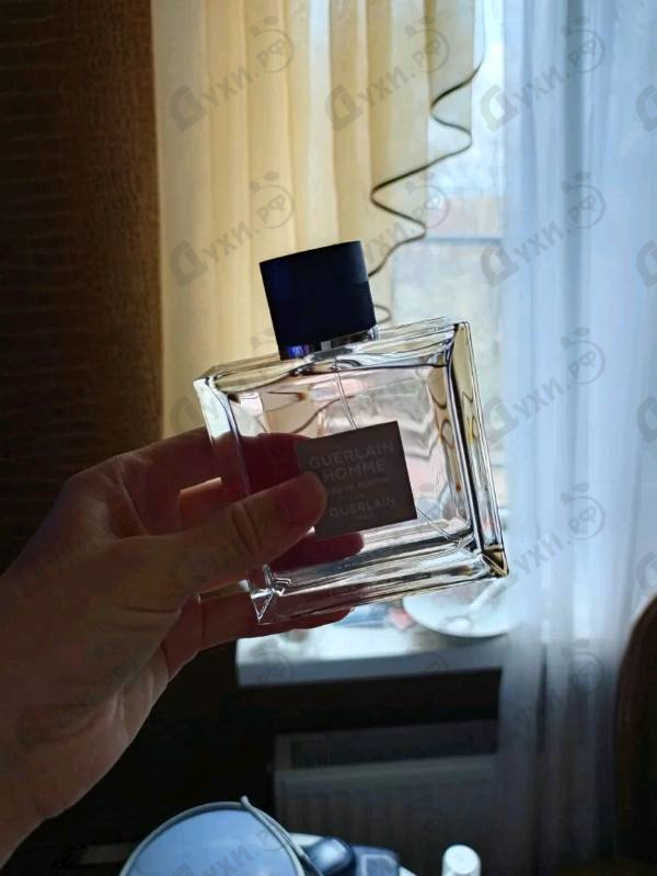 Купить Homme от Guerlain
